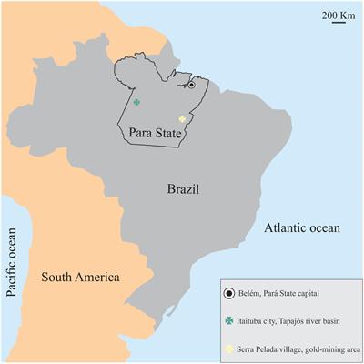 Comparison of Visual Functions of Two Amazonian Populations: Possible Consequences of Different Mercury Exposure